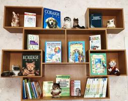 Уголок педагога-психолога (специальная и учебная литература)